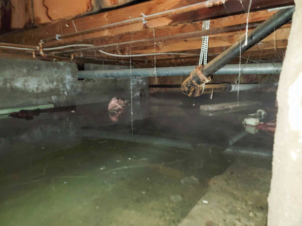 Best Fire Damage Restoration  in East Mountain, TX