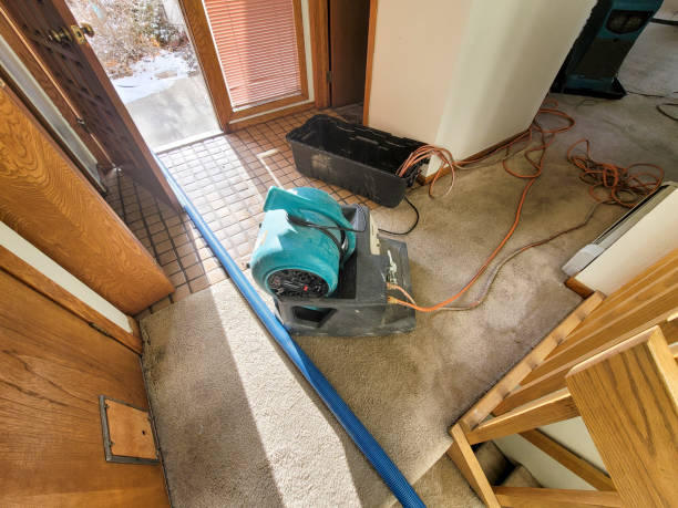 Best Water damage contractors near me  in East Mountain, TX