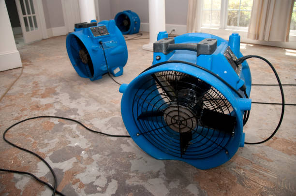 Best Water damage restoration near me  in East Mountain, TX